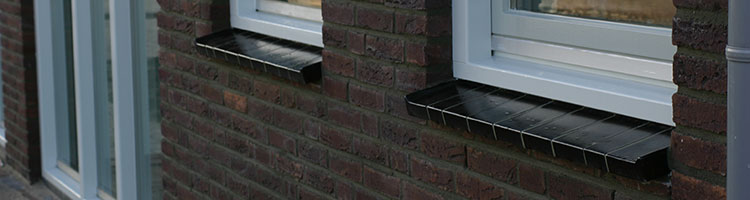 foto overige5